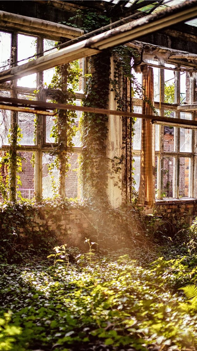 1080x1920 Overgrown room with windows - germany iPhone 8 Wallpaper