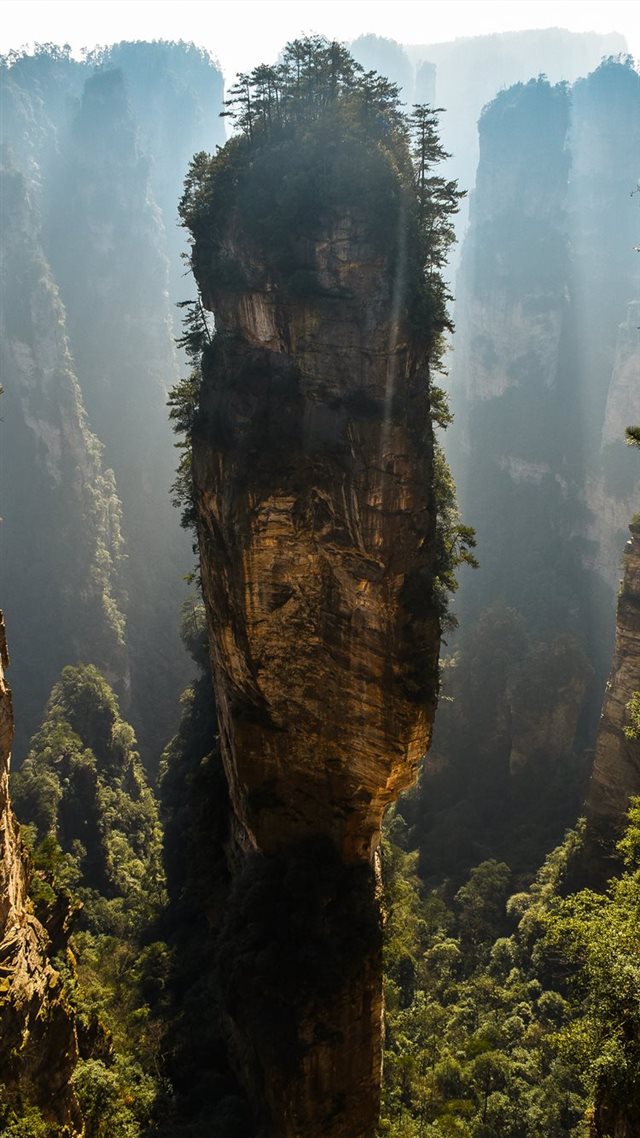 1080x1920 green trees on brown cliff - cliff iPhone 8 Wallpaper