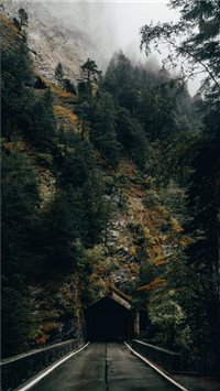 Dark tunnel entrance in front of autumn forest iPhone 6(s)~8(s) wallpaper