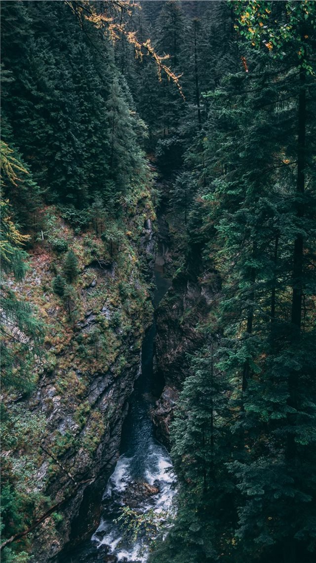 1080x1920 Switzerland - misty iPhone 8 Wallpaper