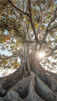 black and white floral print textile wallpaper