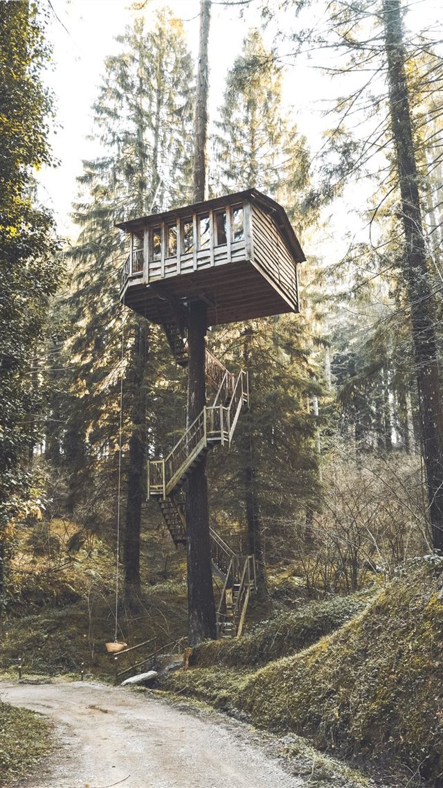1080x1920 gray and brown wooden tree houose - building iPhone 8 Wallpaper