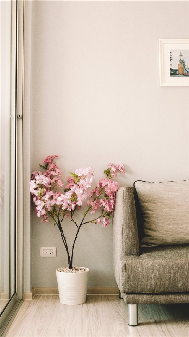 1080x1920 pink flowers beside sofa - indoors iPhone 8 Wallpaper