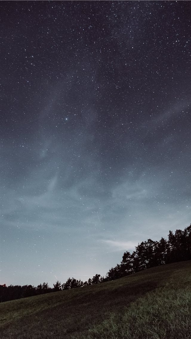 1080x1920 trees surrounded by grass - astronomy iPhone 8 Wallpaper