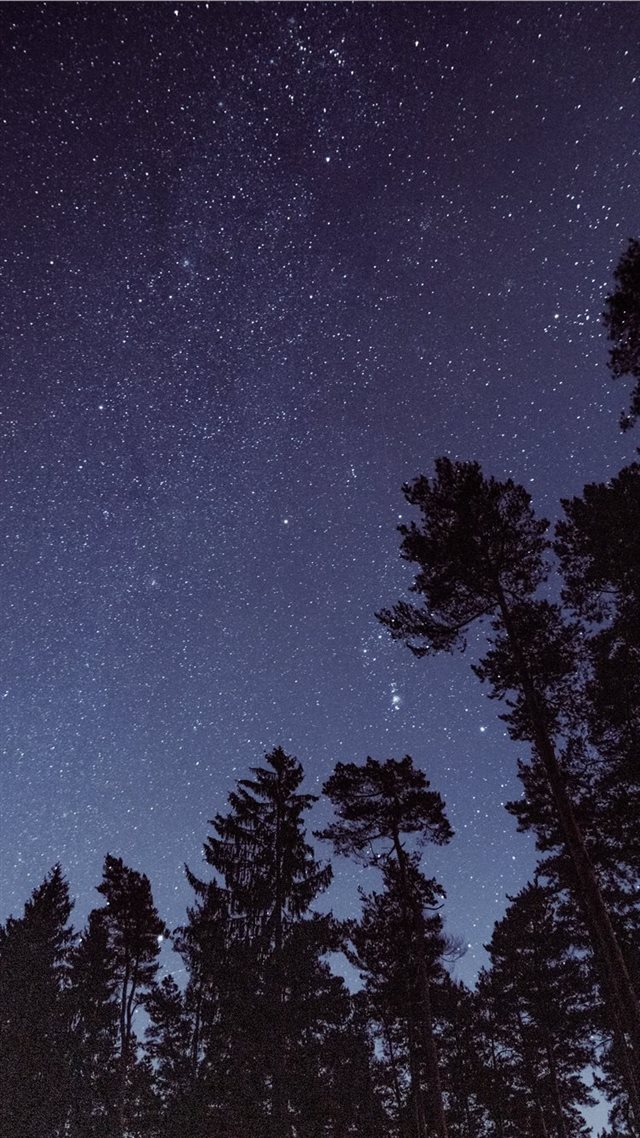 1080x1920 silhouette photo of trees during night time - universe iPhone 8 Wallpaper