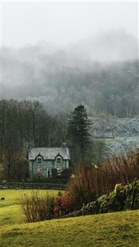house at forest surrounded with fog wallpaper
