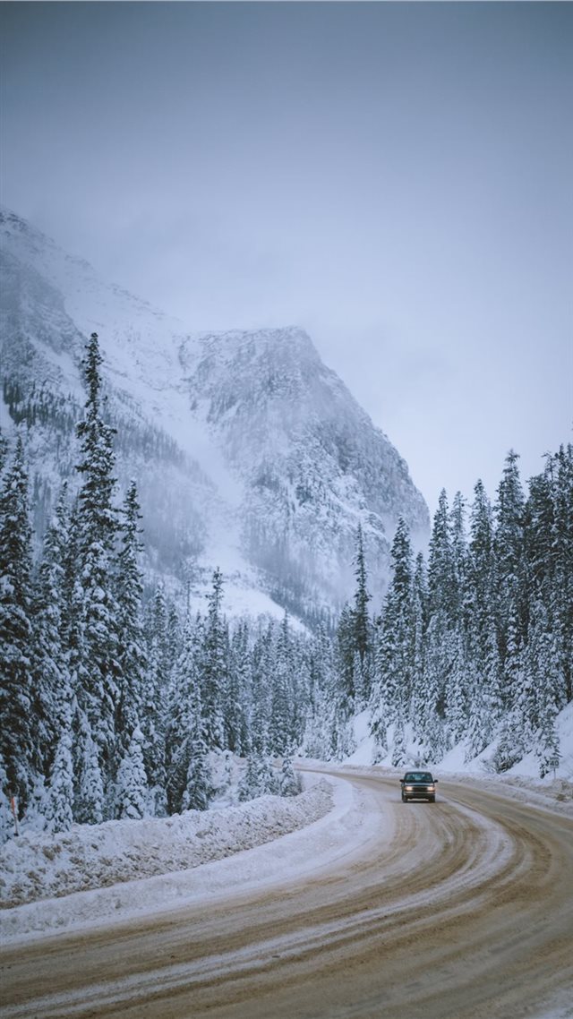 1080x1920 Winter Cruise - tree iPhone 8 Wallpaper