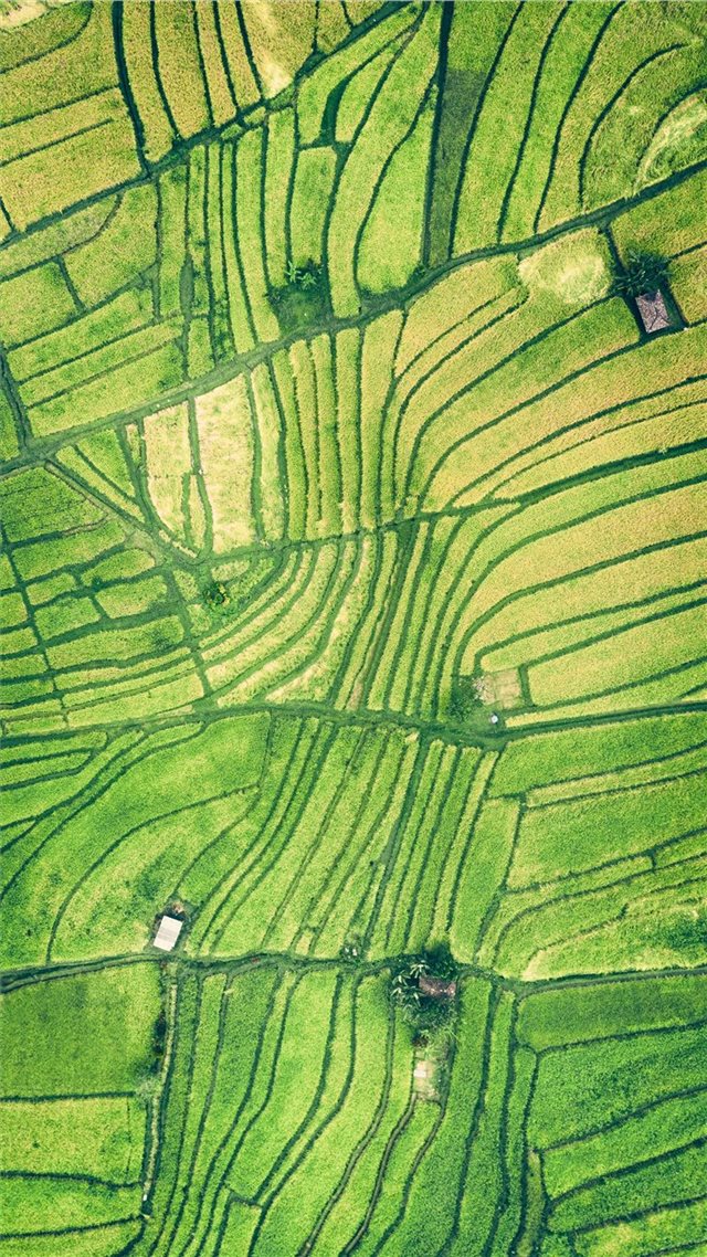 1080x1920 A grid -  iPhone 8 Wallpaper