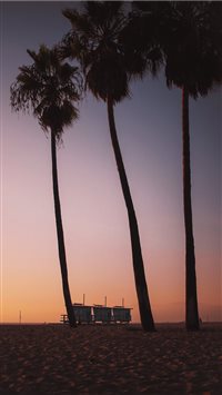 Sunsets in Venice Beach are like ketchup to your f... wallpaper