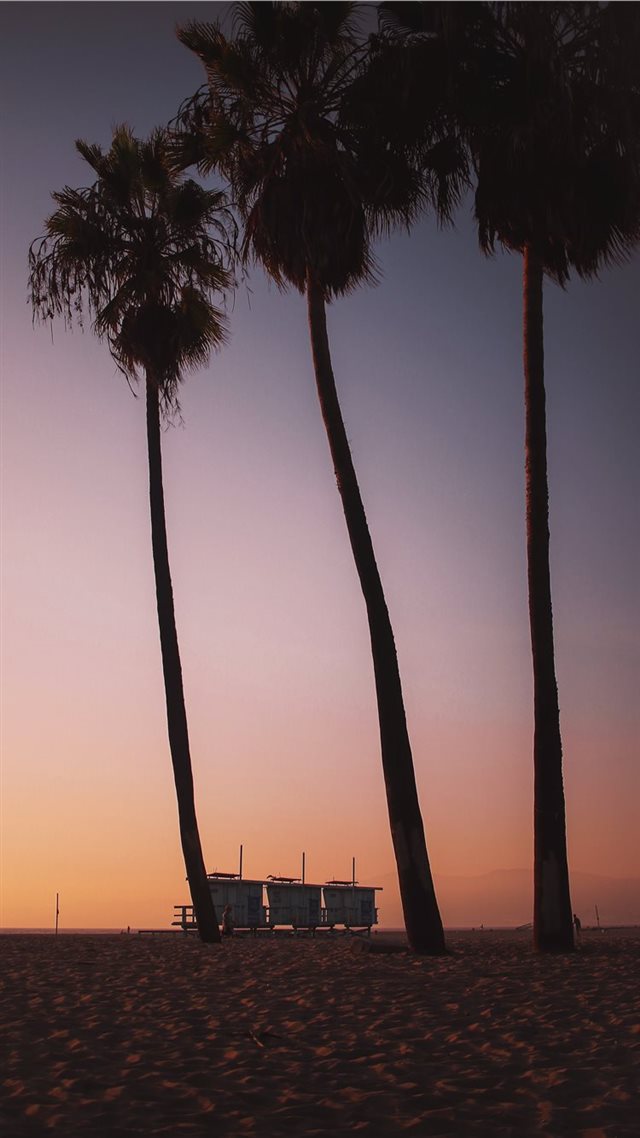 1080x1920 Sunsets in Venice Beach are like ketchup to your f... - united states of america iPhone 8 Wallpaper