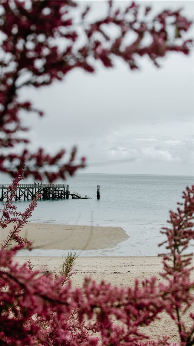 1080x1920 Noirmoutier  France - france iPhone 8 Wallpaper