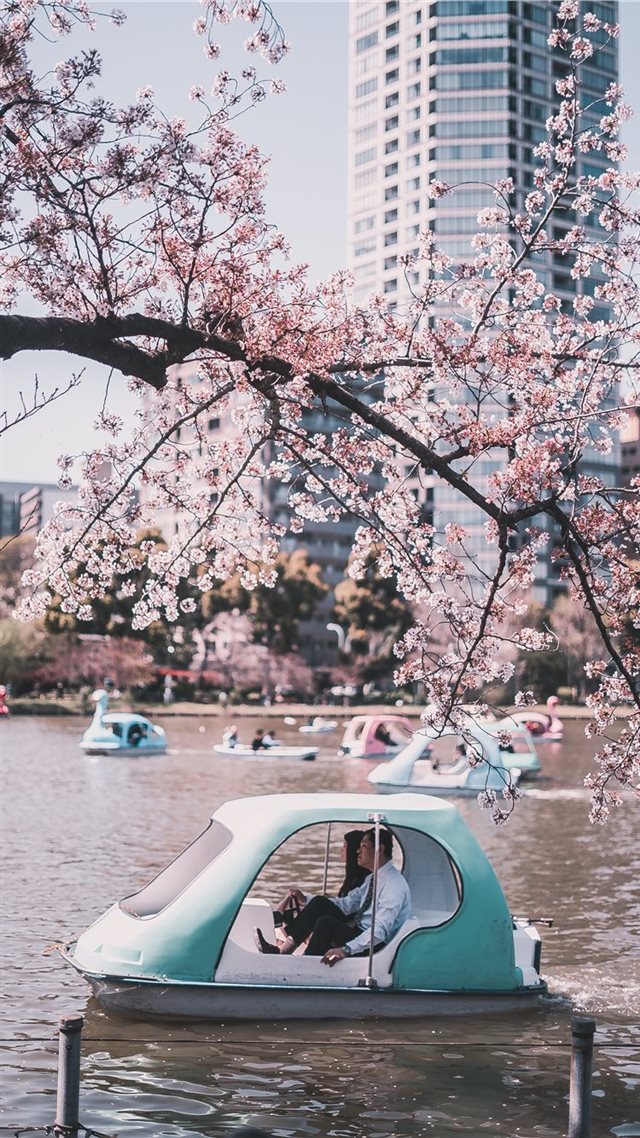 1080x1920 Ueno Park  Tokyo  Japan - tokyo iPhone 8 Wallpaper