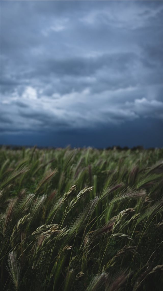 1080x1920 For more pictures  instagram com _blrguillaume - darkness iPhone 8 Wallpaper