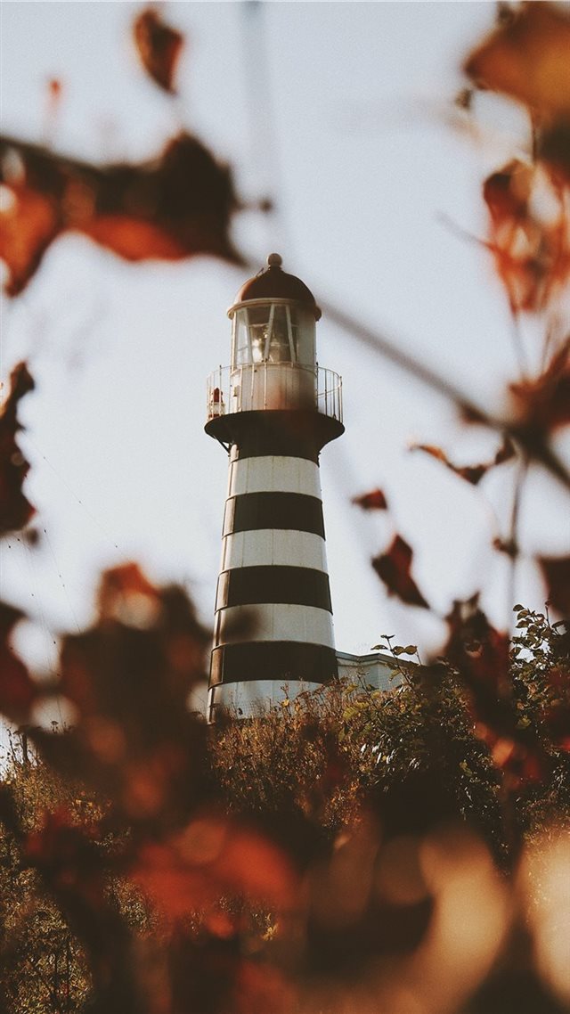 1080x1920 Lighthouse Petrovsky  - tower iPhone 8 Wallpaper