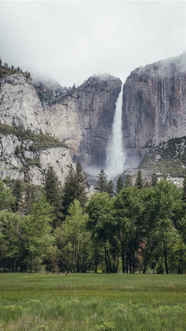1080x1920 Yosemite National Park - conifer iPhone 8 Wallpaper