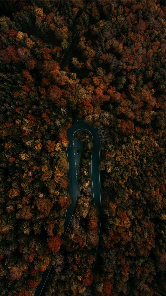 1080x1920 This shot was taken in my hometown Salzburg in bea... - fall iPhone 8 Wallpaper