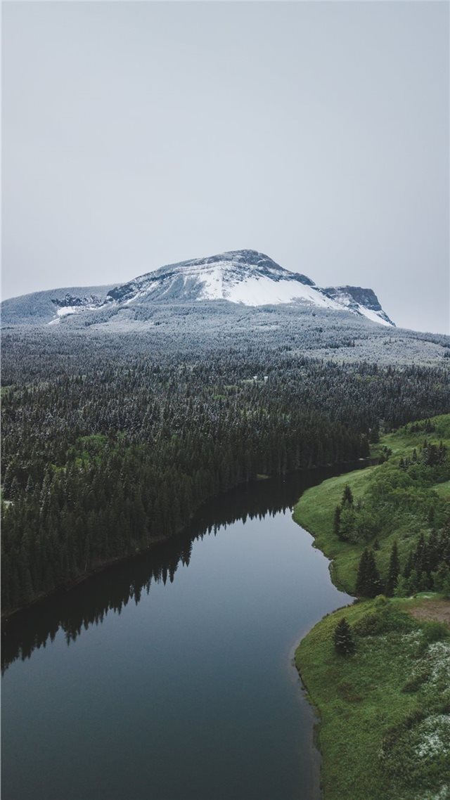1080x1920 Range Rd 23B  Pincher Creek  Canada - conifer iPhone 8 Wallpaper