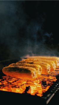 It was a cold morning near the mountain and we dec... wallpaper