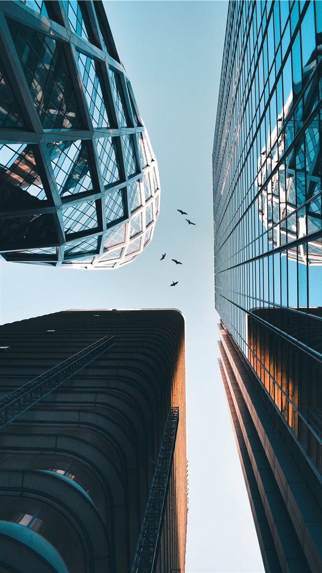 1080x1920 La Défense  Paris  France - bird iPhone 8 Wallpaper
