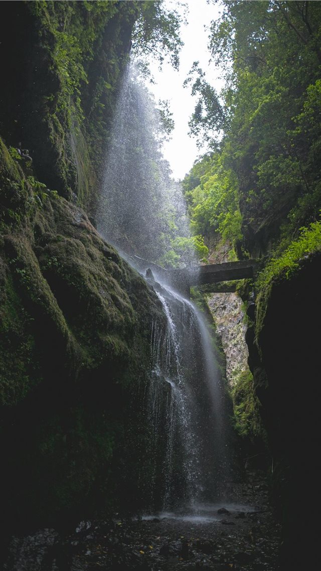 1080x1920 Los Tilos  Isla de la Plama  - road iPhone 8 Wallpaper