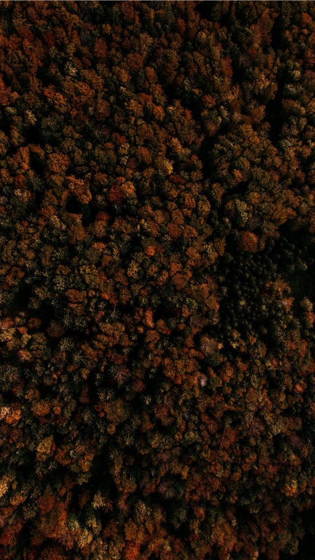 1080x1920 Gaisberg Rauchenbühelkehre  Salzburg  Austria - fall iPhone 8 Wallpaper
