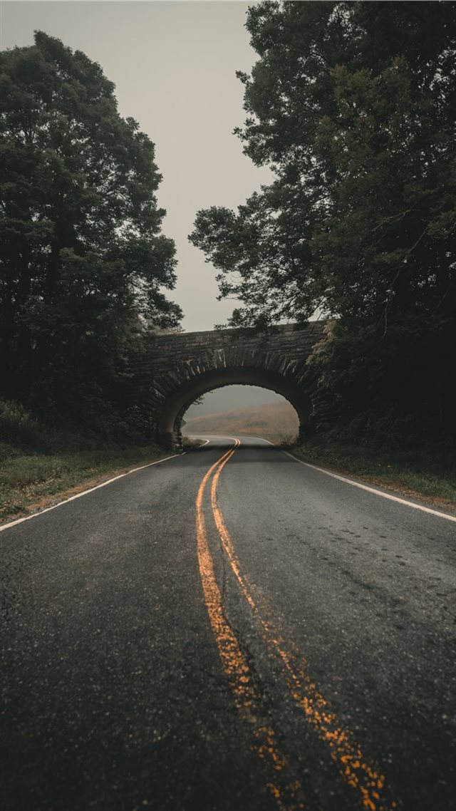 1080x1920 Searching for trolls in North Carolina - road iPhone 8 Wallpaper