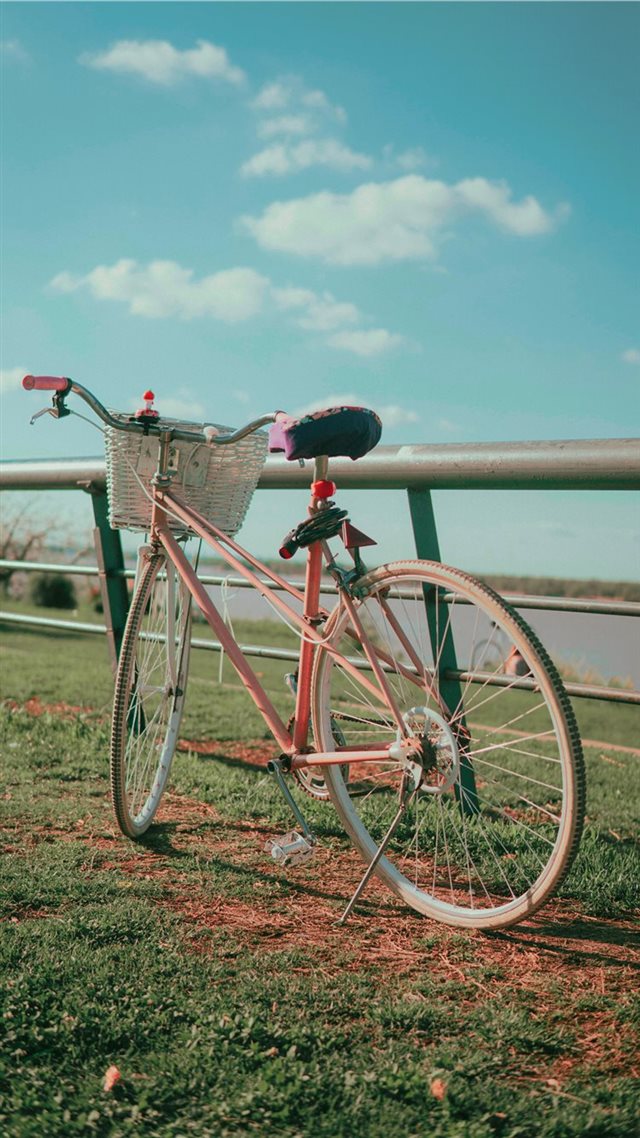 1080x1920 Pastel pink bike by the coast walk -  iPhone 8 Wallpaper