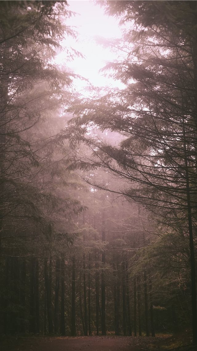 1080x1920 Tillamook  Oregon  United States - painting iPhone 8 Wallpaper