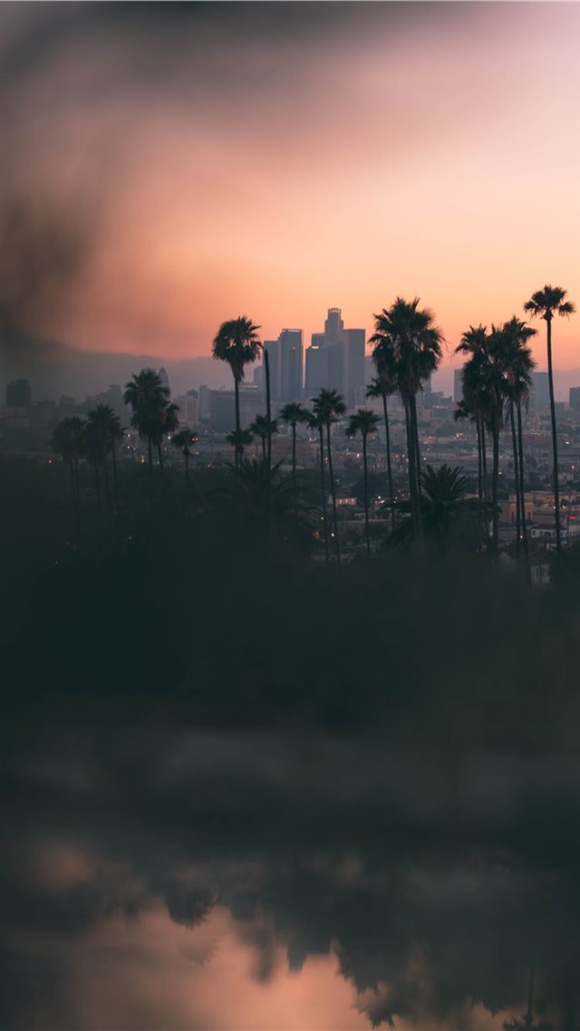 1080x1920 Hazy sunset in East Los Angeles  from Montecito He... - arecaceae iPhone 8 Wallpaper