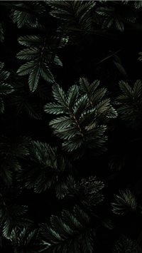 Moody Tones wallpaper