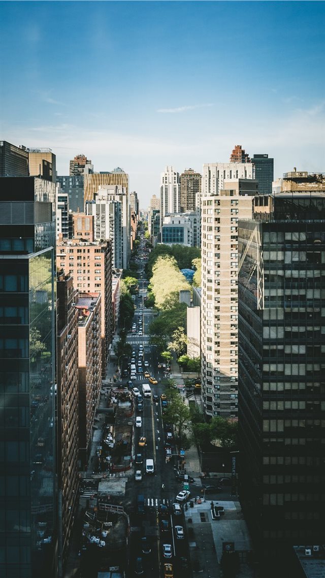 1080x1920 The Division  - intersection iPhone 8 Wallpaper
