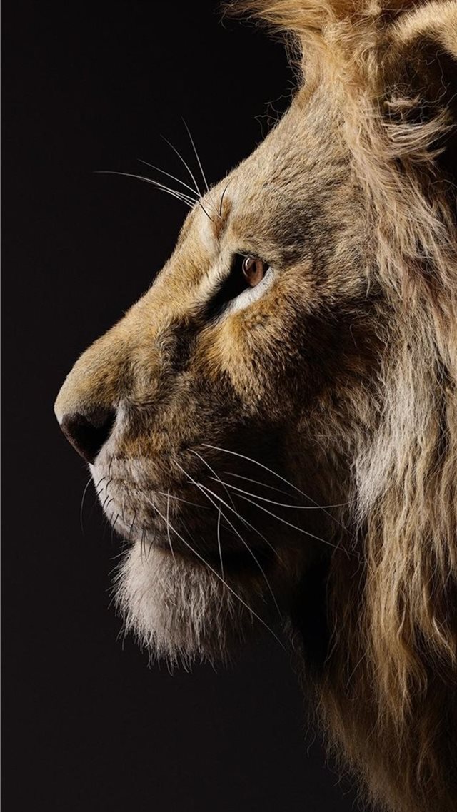 1080x1920 donald glover as simba the lion king 2019 - lion iPhone 8 Wallpaper