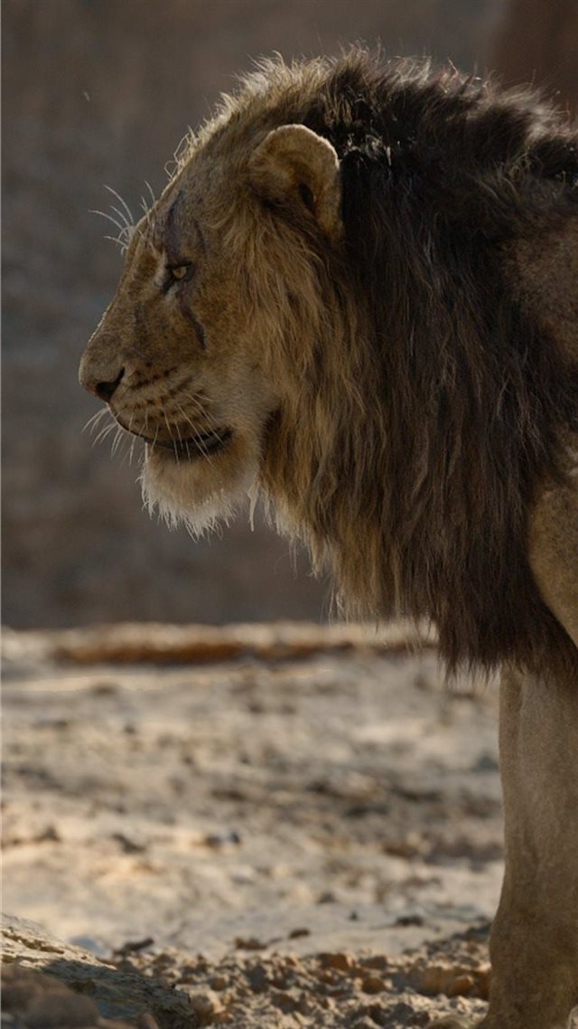 1080x1920 simba and scar - simba iPhone 8 Wallpaper