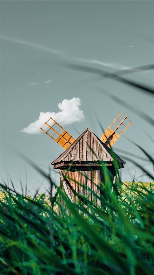 1080x1920 Sibiu  Hermannstadt - bird iPhone 8 Wallpaper