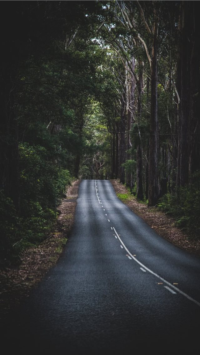1080x1920 Long Mountain Road - road iPhone 8 Wallpaper