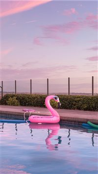 Tomorrow is Saturday  Inflatables  wallpaper