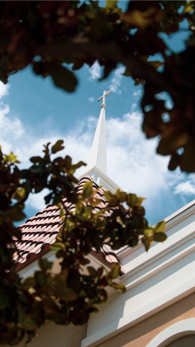 1080x1920 Steeple through trees - tower iPhone 8 Wallpaper