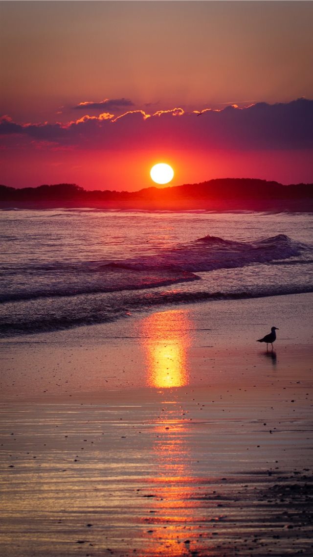 1080x1920 Cape May  NJ - sun iPhone 8 Wallpaper