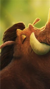 pumbaa 4k 2019 wallpaper