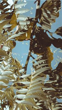 Kiev  Ukraine wallpaper