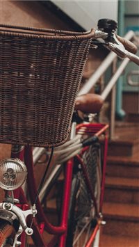 Wet friend wallpaper