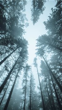 Best Nature Iphone 8 Hd Wallpapers Ilikewallpaper