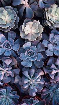 Unnamed Road Haifa Israel wallpaper