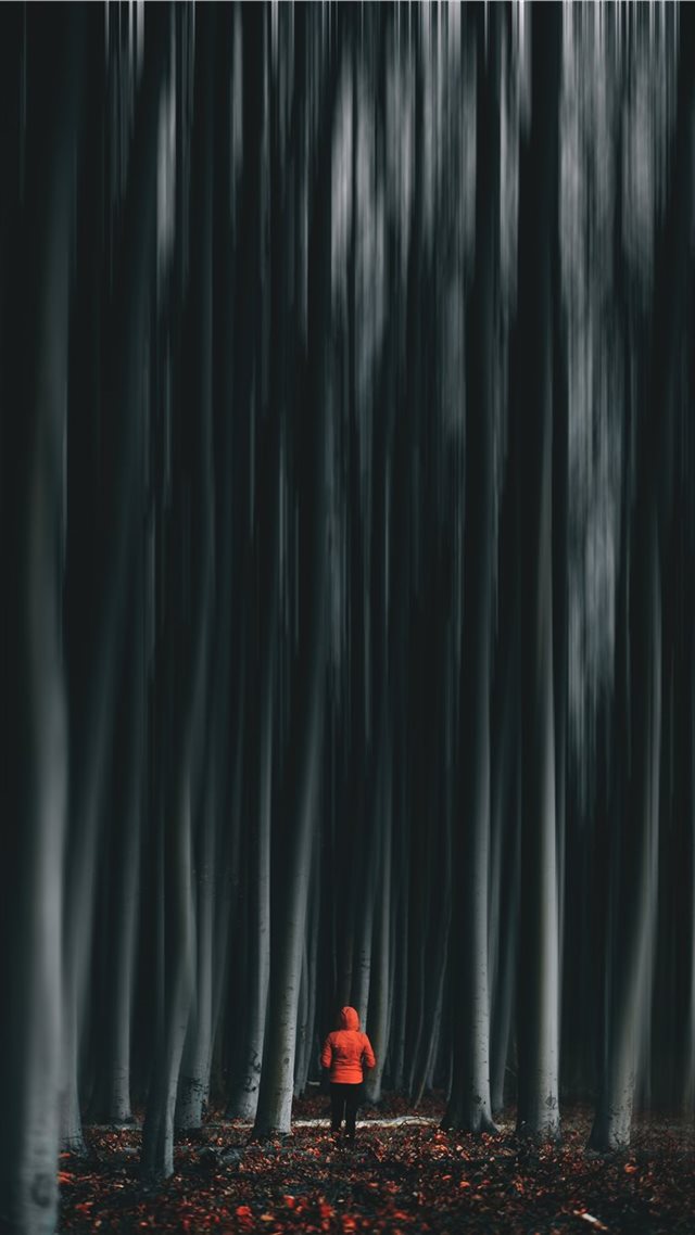 1080x1920 man wearing orange jacket -  iPhone 8 Wallpaper