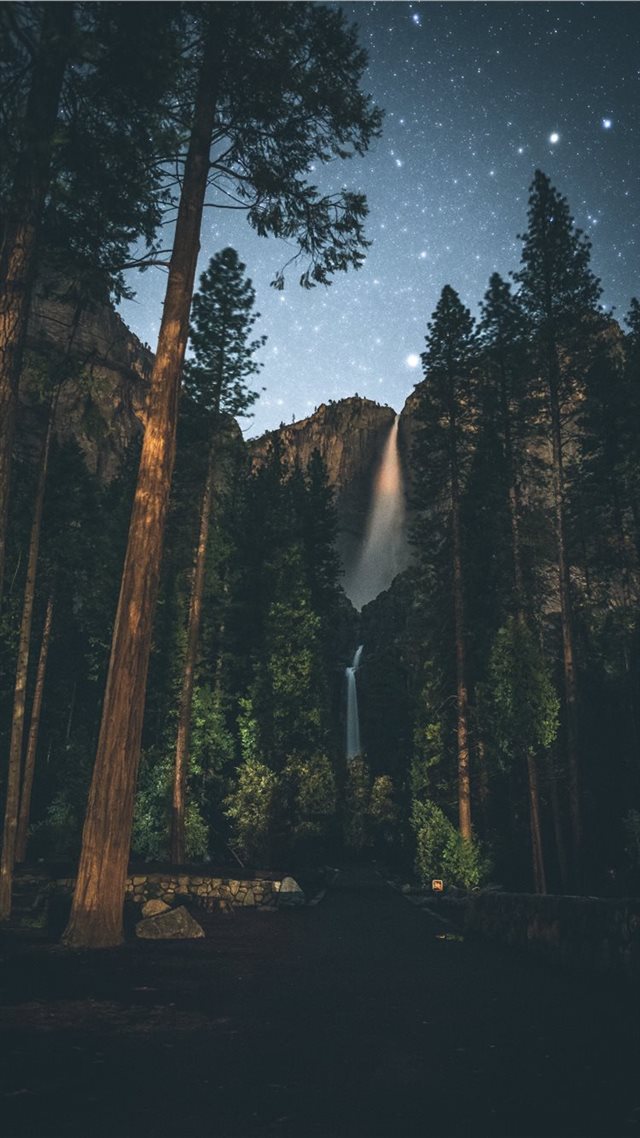 1080x1920 forest painting -  iPhone 8 Wallpaper
