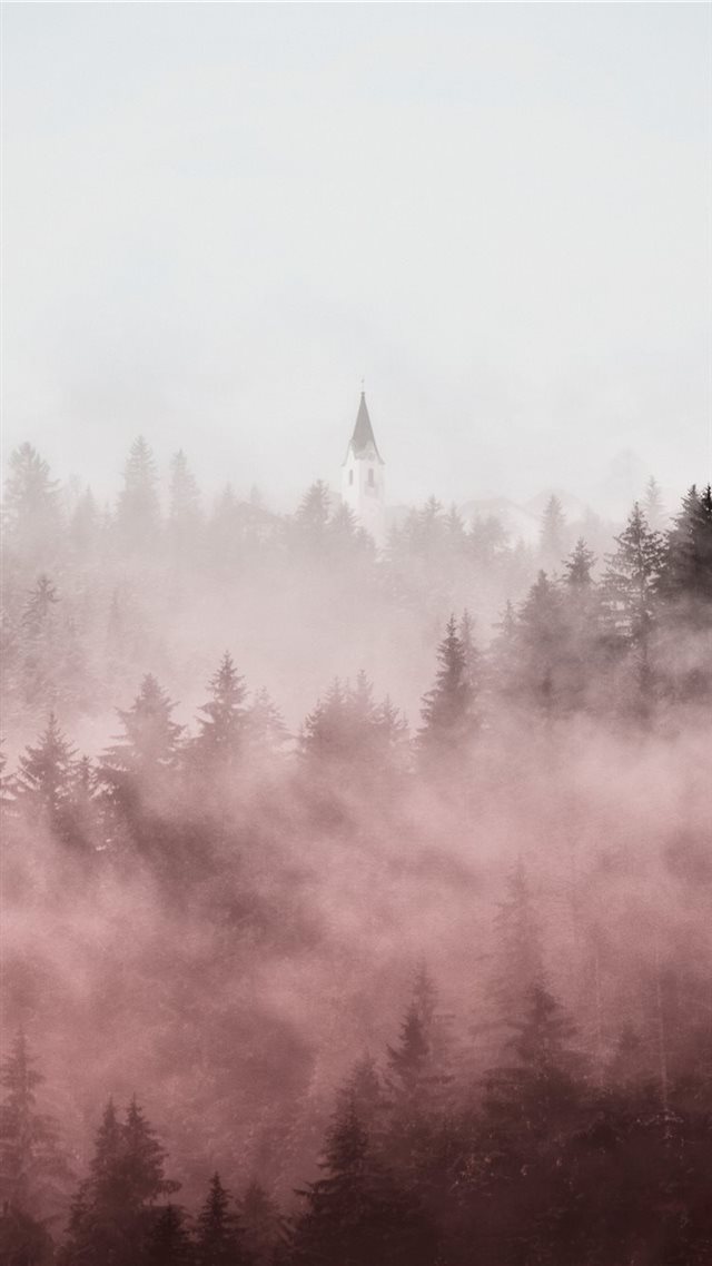 1080x1920 pine trees covered in fogs -  iPhone 8 Wallpaper