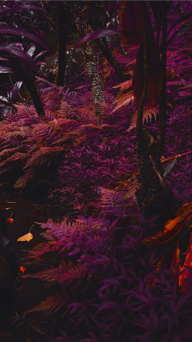 1080x1920 purple trees - forest iPhone 8 Wallpaper