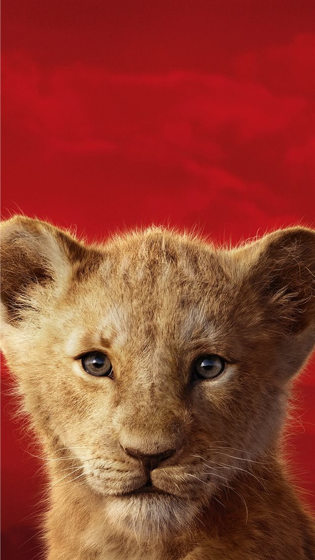1080x1920 the lion king 2019 5k - simba iPhone 8 Wallpaper