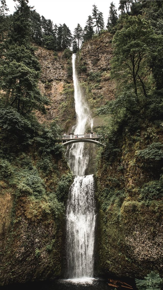1080x1920 gray bridge in the middle of falls - trees iPhone 8 Wallpaper