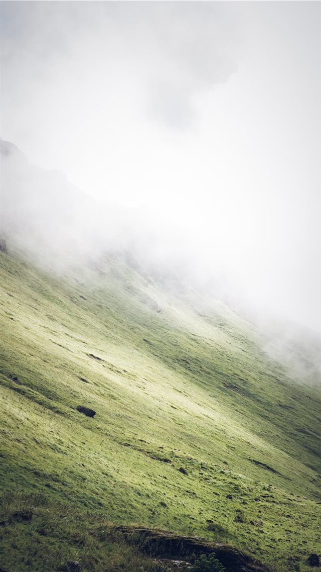 1080x1920 grass covered slope during foggy weather - scenery iPhone 8 Wallpaper